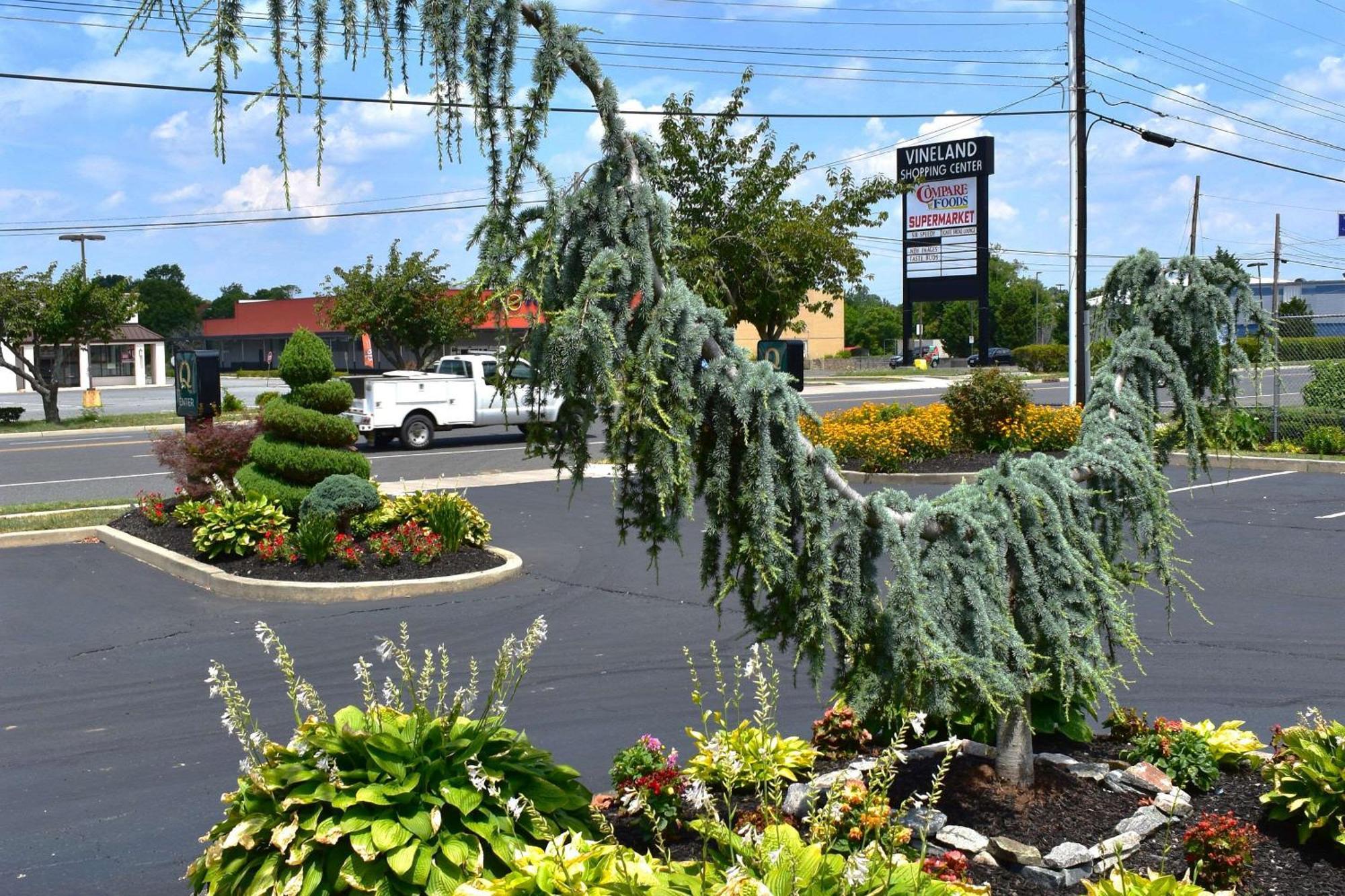 Quality Inn Vineland – Millville Esterno foto